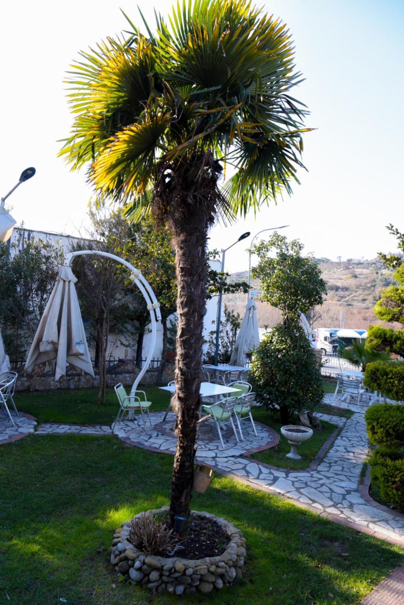 Hotel Restorant Halal Il Tramonto. Vore Exterior photo